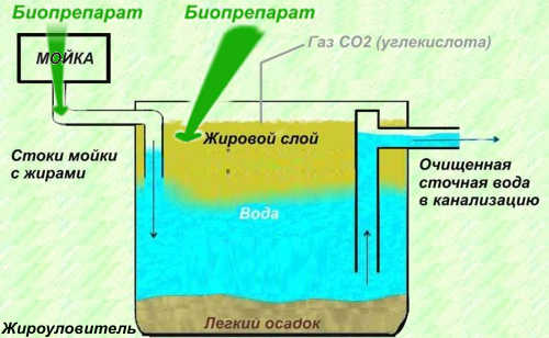 Жироуловитель схема работы принцип