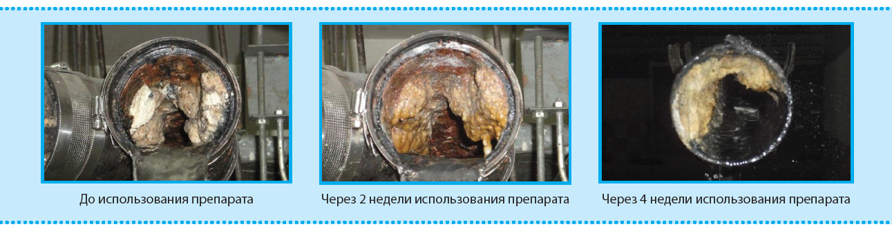 Результат применения биопрепарата