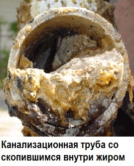 скопившийся жир в канализационной трубе